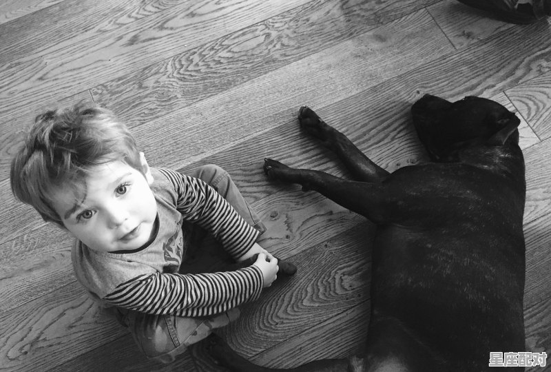 库姆孜艺术家,宝宝名字刺绣新疆 库姆孜艺术家,宝宝名字刺绣新疆 - 星座运势