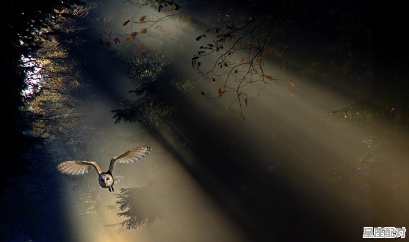 醉啊醉粤语歌,夜冷降温公司名字 - 星座运势