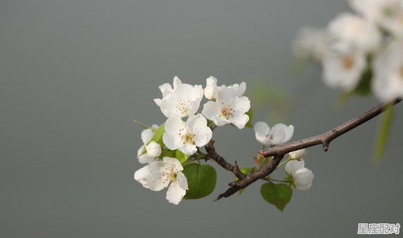 七个字的店铺名字,店铺取名字收费标准 七个字的店铺名字,店铺取名字收费标准 - 星座运势