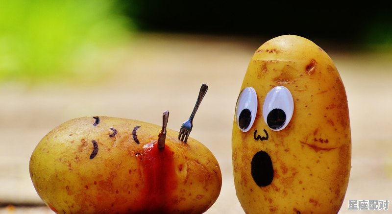2022土豆还会涨价吗,2022洋芋店最旺店铺名字 - 星座运势
