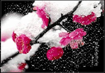 寓意升官的饭店名字_跪求饭店用的雅间名称 寓意升官的饭店名字_跪求饭店用的雅间名称 - 星座运势