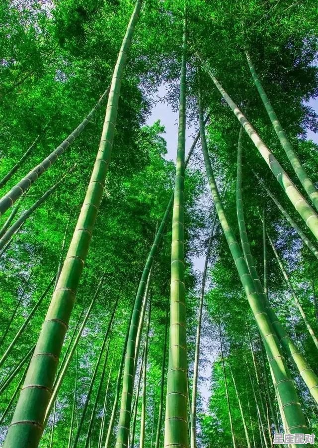 寓意升官的饭店名字_跪求饭店用的雅间名称 寓意升官的饭店名字_跪求饭店用的雅间名称 - 星座运势