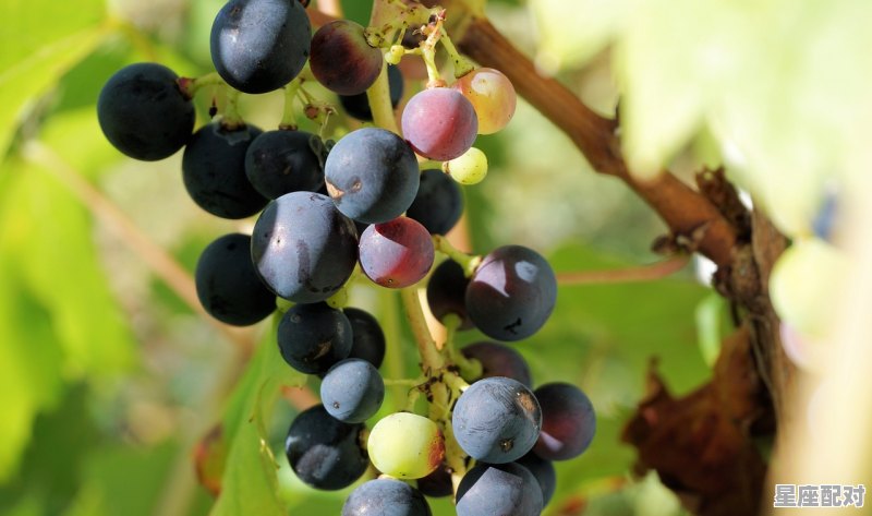 大碎石叫什么名字,承包砂石厂生产公司名字 大碎石叫什么名字,承包砂石厂生产公司名字 - 星座运势