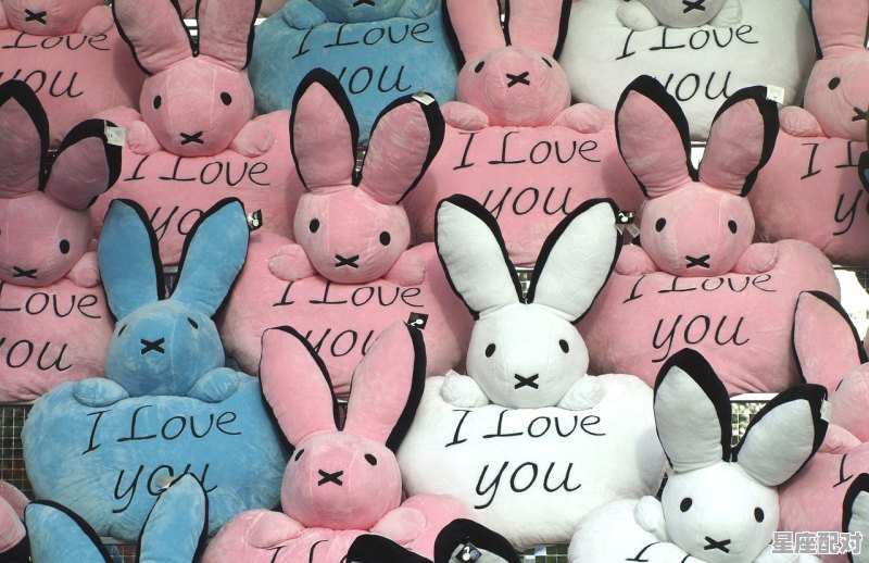 韩国有姓熊的吗_楚国的国姓是什么 - 星座运势