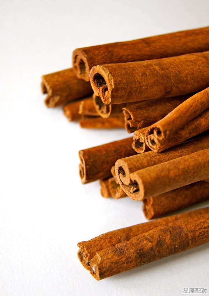 古代卖八角桂皮孜然的铺子叫什么,孜然烧烤公司名字 - 星座运势