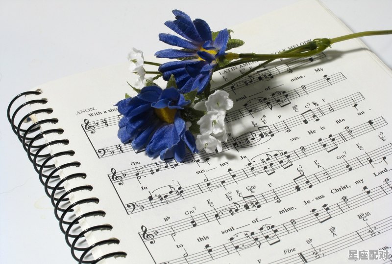 买房写女儿名想改自己名字怎么办_歌词有一句叫名字叫做后悔是什么歌 - 星座运势