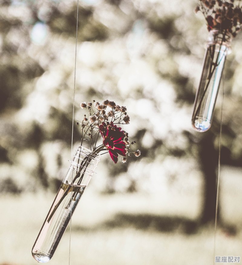 可以取名字的古诗词有哪些_能起名字的诗句 - 星座运势