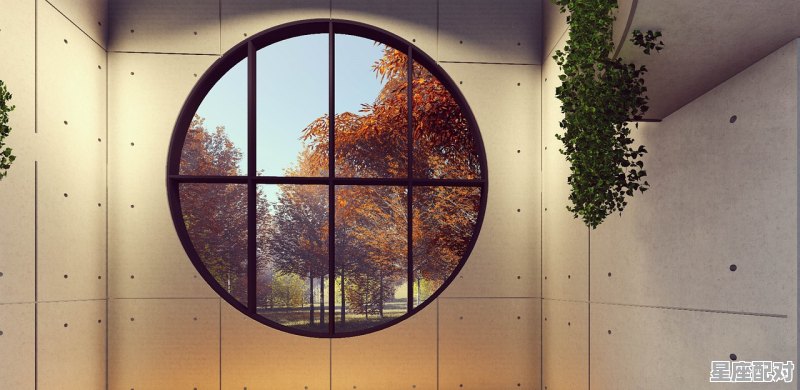 餐厅黄色大理石背景墙叫什么材质,黄色风格的饭店名字怎么取 餐厅黄色大理石背景墙叫什么材质,黄色风格的饭店名字怎么取 - 星座运势