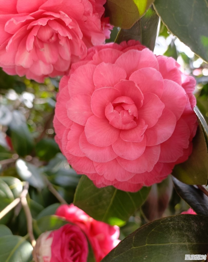 求小说中酒店的名称_古代酒楼的名字,雅气一点 - 星座运势