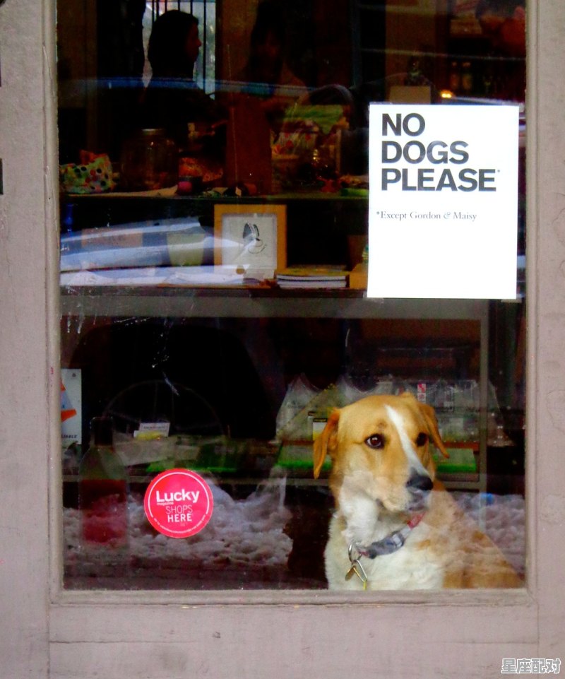 家常便饭取餐馆名字好,私房店铺名字搞笑好听 - 星座运势