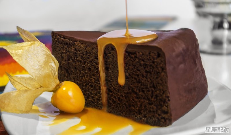 2月20日生日巧克力：巧克力夹心蛋糕（Chocolate Sandwich Cake） - 星座运势