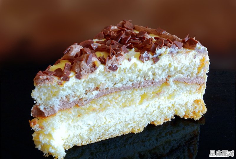 2月4日生日巧克力：芝士酒饼（Amaretti Chocolate Cheese Cake） - 星座运势