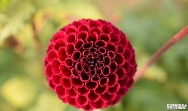 属蛇人出生时辰的命运,属蛇人几点出生的最好 属蛇人出生时辰的命运,属蛇人几点出生的最好 - 星座运势