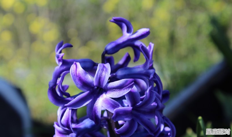 属龙人出生时辰的命运,属龙人几点出生的最好 属龙人出生时辰的命运,属龙人几点出生的最好 - 星座运势