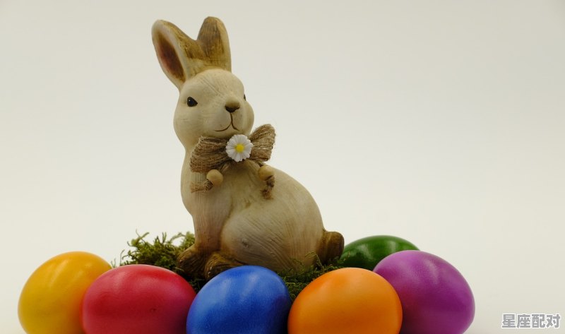 属鼠人出生时辰的命运，属鼠人几点出生的最好 - 星座运势