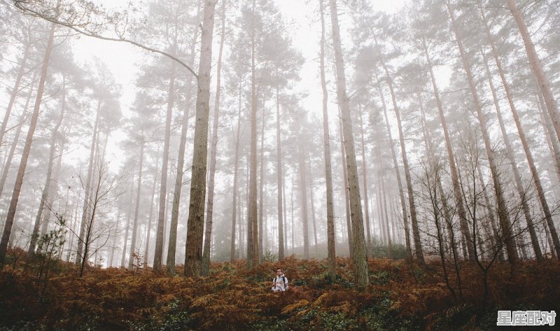 癸水生于辰月 - 星座运势