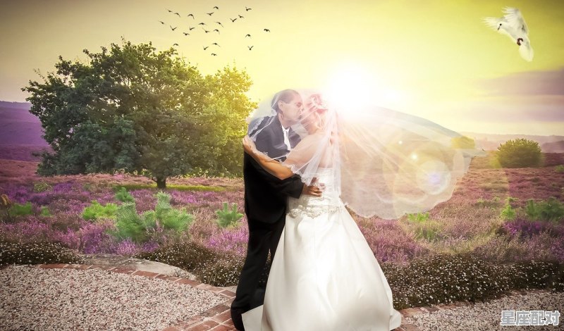 八字看配偶相貌 八字看配偶相貌 - 星座运势