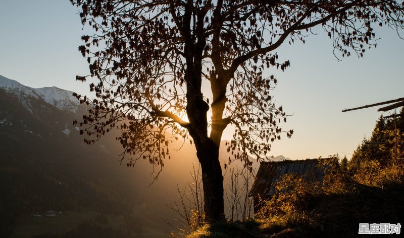 癸水生于未月 - 星座运势