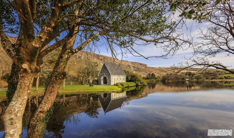 壬水生于酉月 - 星座运势