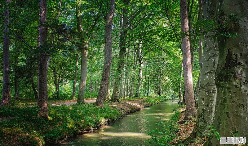 壬水生于卯月 - 星座运势