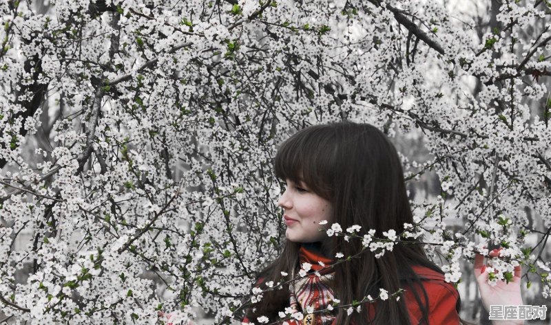 辛金生于未月 - 星座运势