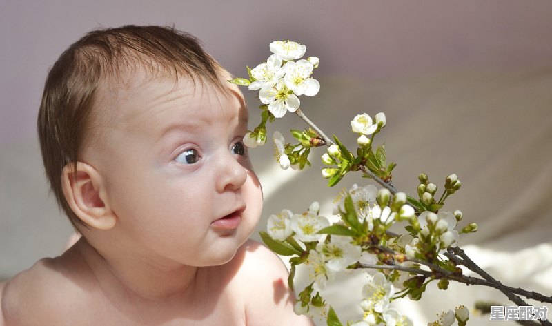 属鼠宝宝起名的重要原则及好名字参考 属鼠宝宝起名的重要原则及好名字参考 - 星座运势