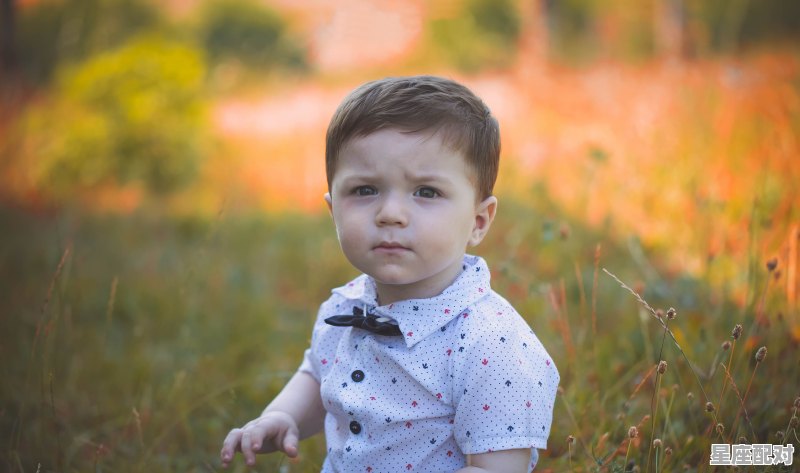 鼠年男宝宝名字大全2020 - 星座运势