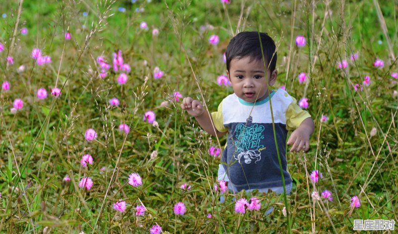 2020鼠年宝宝小名大全 - 星座运势