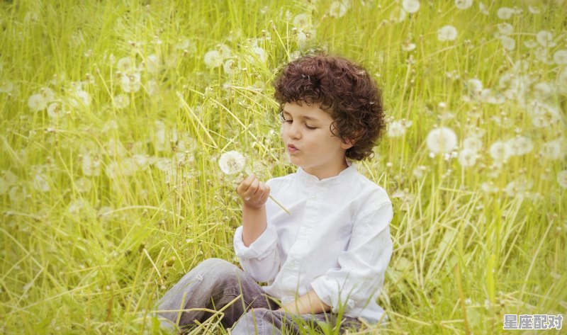 鼠宝宝起名宝典 - 星座运势