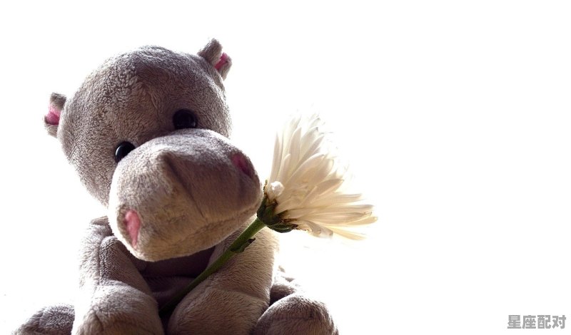 鼠年宝宝取名宜用部首 鼠年宝宝取名宜用部首 - 星座运势