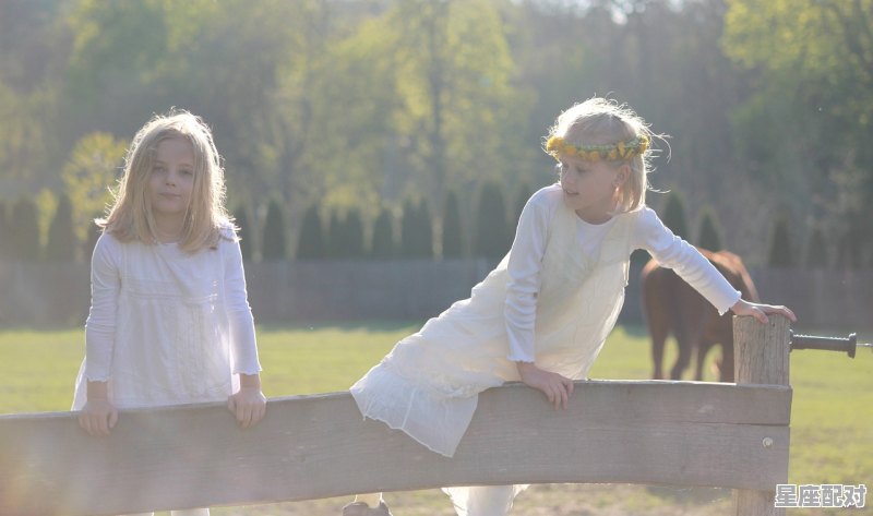 女孩木字旁寓意好的字 女孩木字旁寓意好的字 - 星座运势