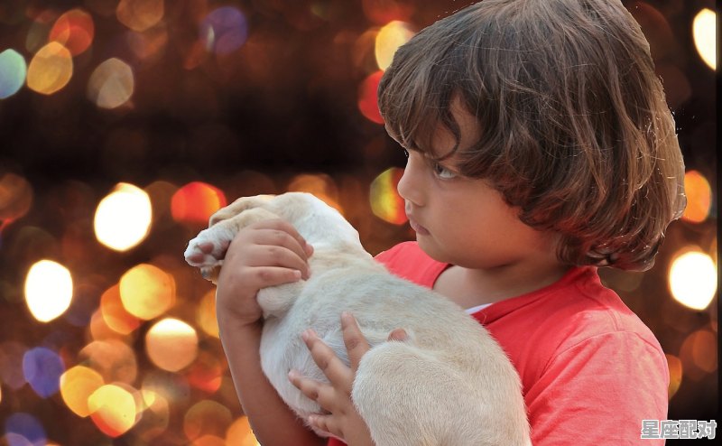 带文字的男孩名字 带文字的男孩名字 - 星座运势