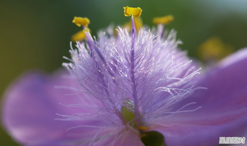 天蝎座女生生气时的表现 - 星座运势