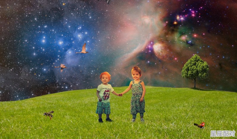 12星座图片专辑1【10个1组】 - 星座运势