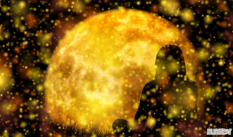 月亮星座意义，月亮星座对您的影响！ - 星座运势