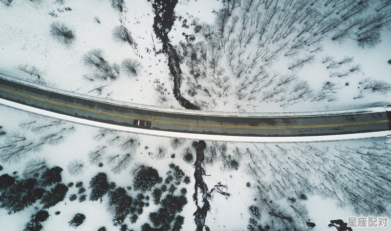双鱼座旅行带什么回家 双鱼座旅行带什么回家 - 星座运势