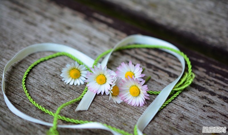 双鱼座孤单的情人节 - 星座运势