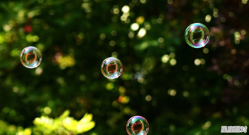 双鱼座打毛衣劳动也快乐 双鱼座打毛衣劳动也快乐 - 星座运势