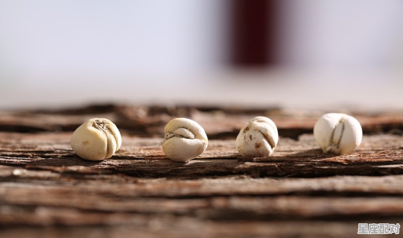 如何与双鱼座和睦相处？ - 星座运势