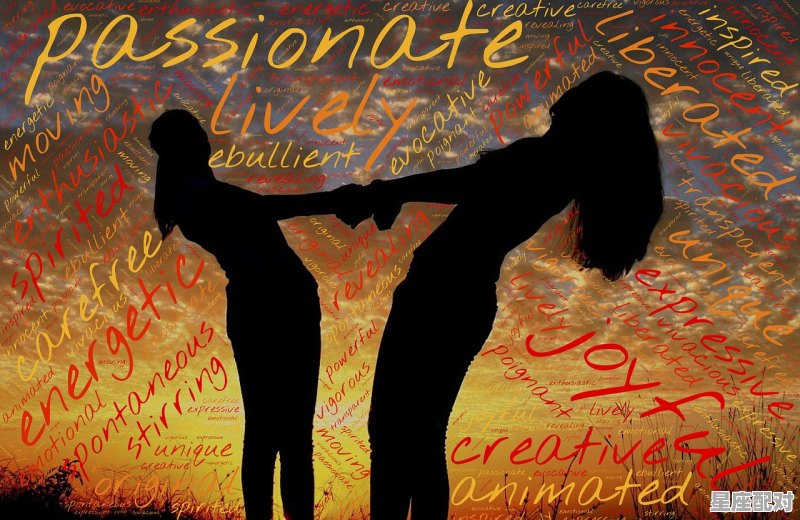 双鱼座的幸福伴侣 - 星座运势