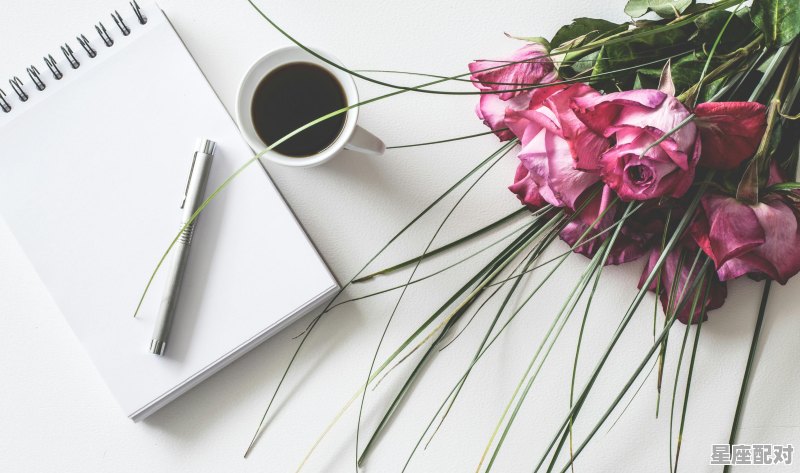 双鱼座选择事业还是爱情？ - 星座运势