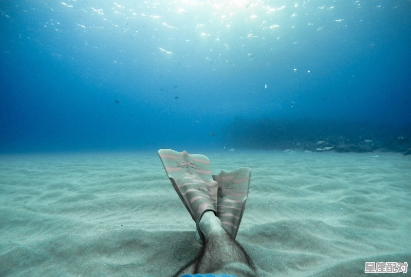 双鱼座适合选择什么专业？ - 星座运势