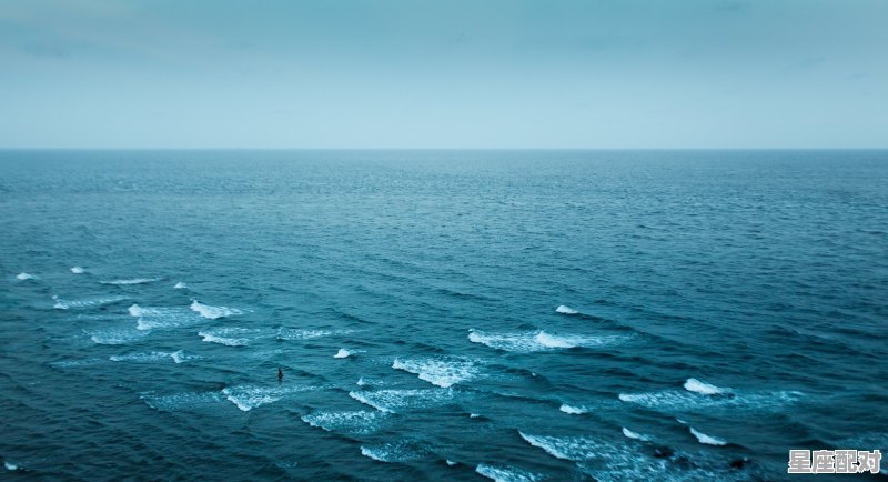 双鱼座的梦想 - 星座运势