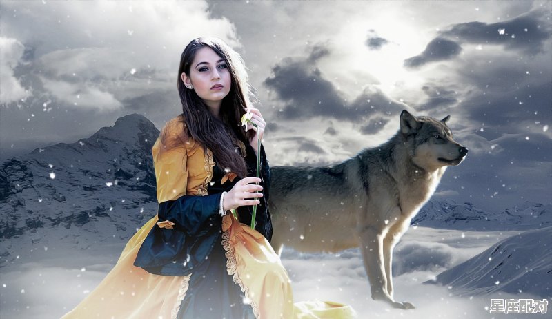 双鱼座眼中的理想妻子 双鱼座眼中的理想妻子 - 星座运势