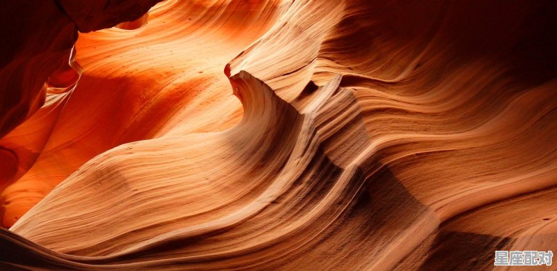 你想泡双鱼座MM吗？ - 星座运势