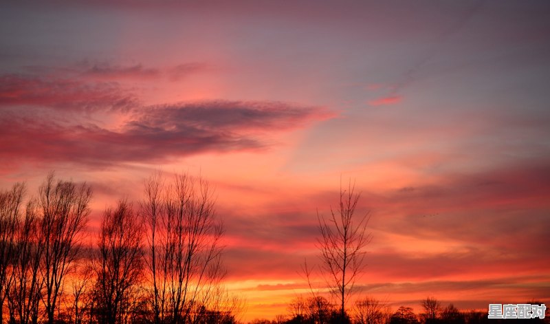 太阳双鱼:最浪漫的梦想家 太阳双鱼:最浪漫的梦想家 - 星座运势