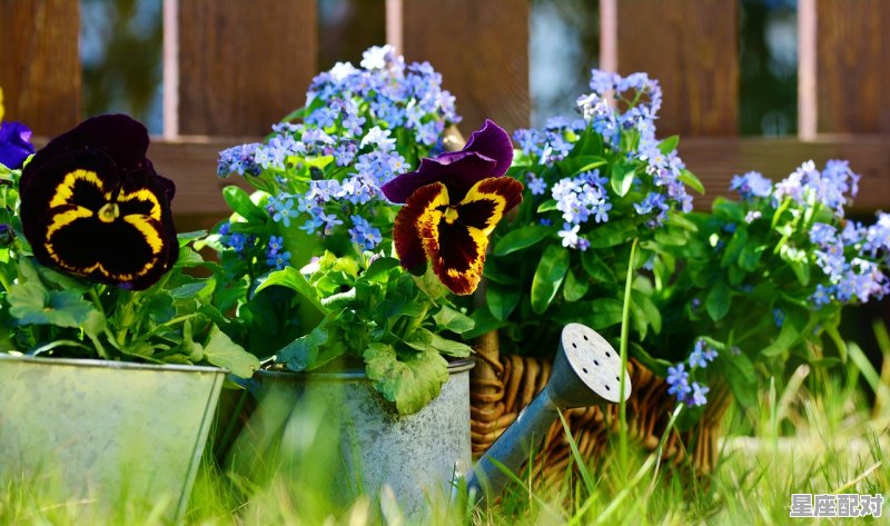 水瓶座的爱情叛逆期是什么时候 - 星座运势