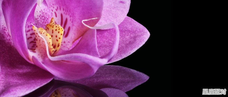 太阳天蝎座在恋爱中口是心非的原因 太阳天蝎座在恋爱中口是心非的原因 - 星座运势