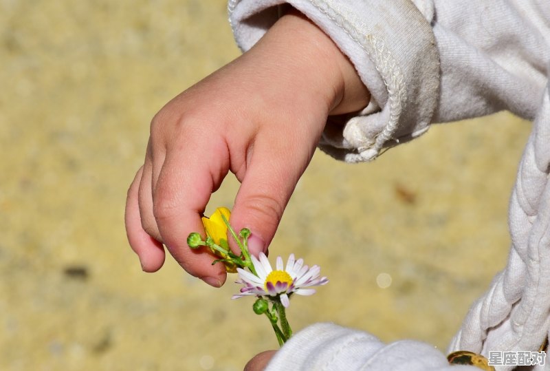 属鼠的今年多大,属鼠的2020年多大 属鼠的今年多大,属鼠的2020年多大 - 星座运势