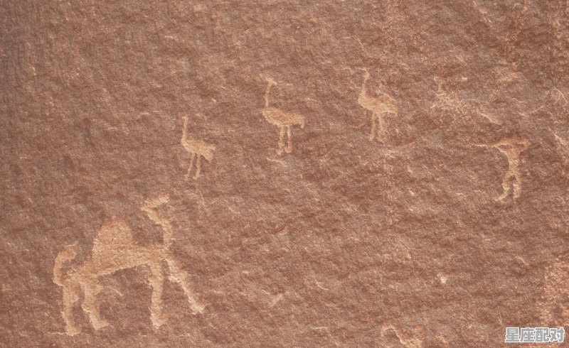 属牛的命运 - 星座运势